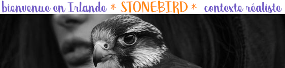 Stonebird - Bienvenus en Irlande