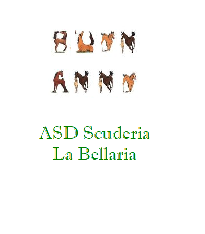 buon_a10.png