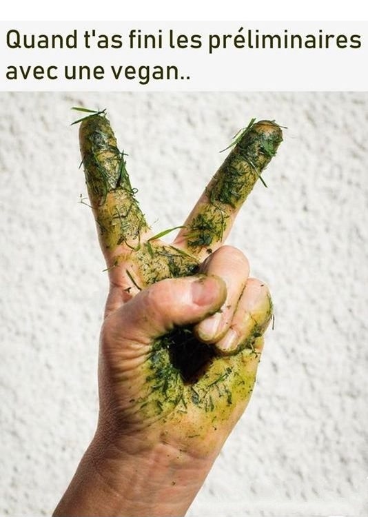 vegan12.jpg